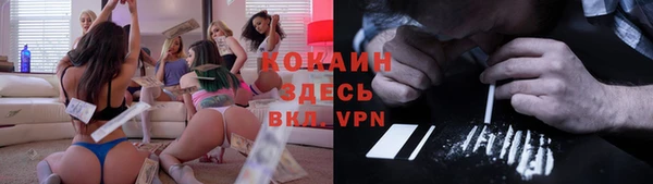 мдпв Каменка