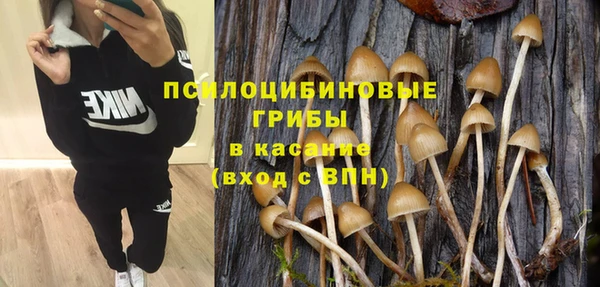 прущие крисы Карталы