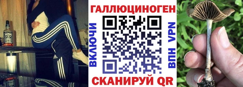 Галлюциногенные грибы MAGIC MUSHROOMS  Вяземский 
